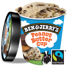 Zmrzlina Ben&Jerry's Peanut Butter Cup 465ml